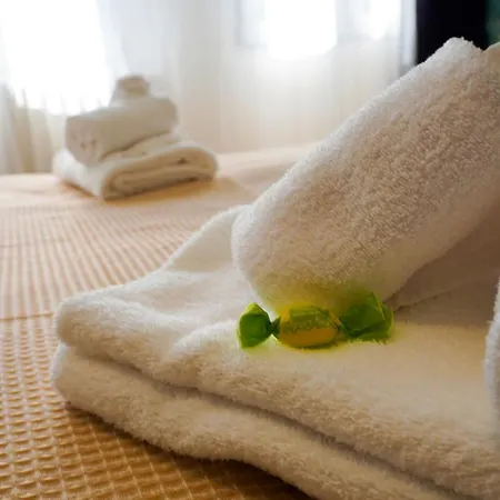 The Platform 费拉拉